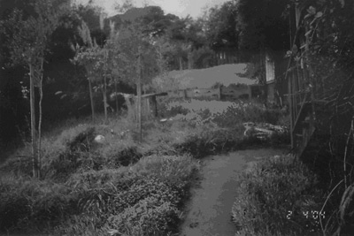 A Tabo Garden