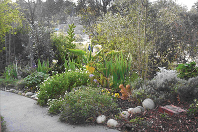 A restored garden with flowering plants along a curved path