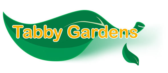 Tabby Gardens